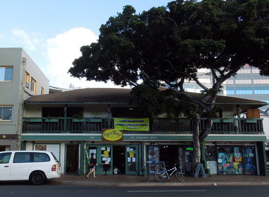 20121108-kokoko.jpg